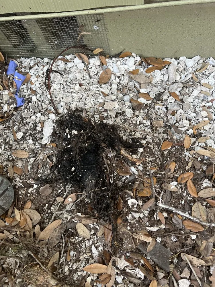 Slide of Veteran Air