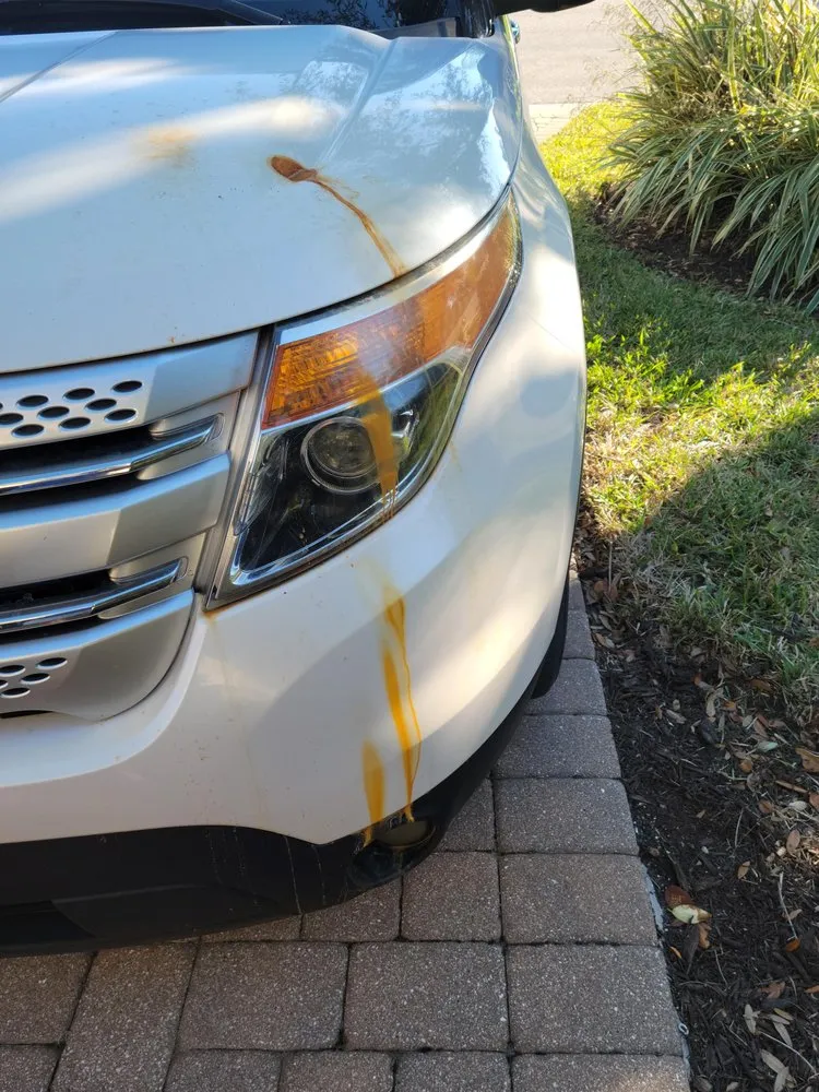 Slide of Veteran Air