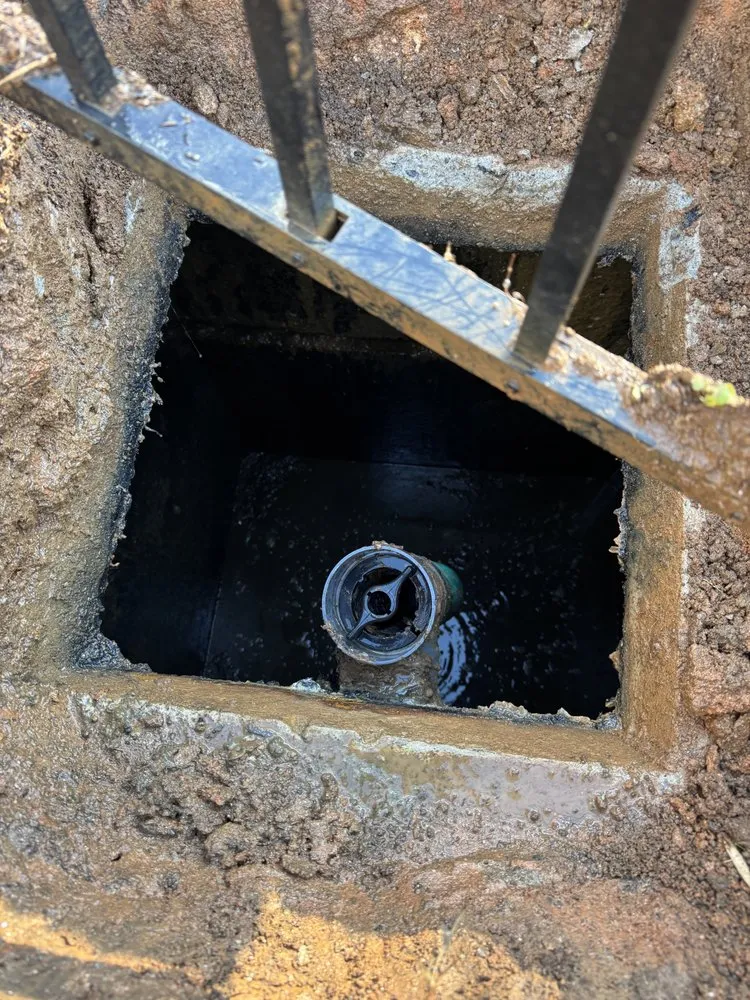 Slide of Veteran Septic