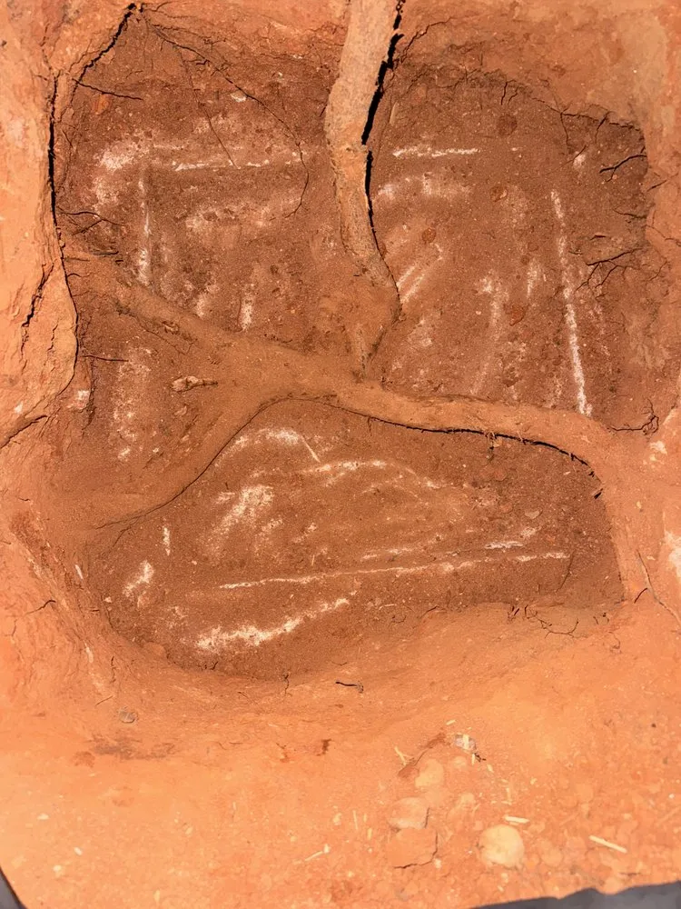 Slide of Veteran Septic