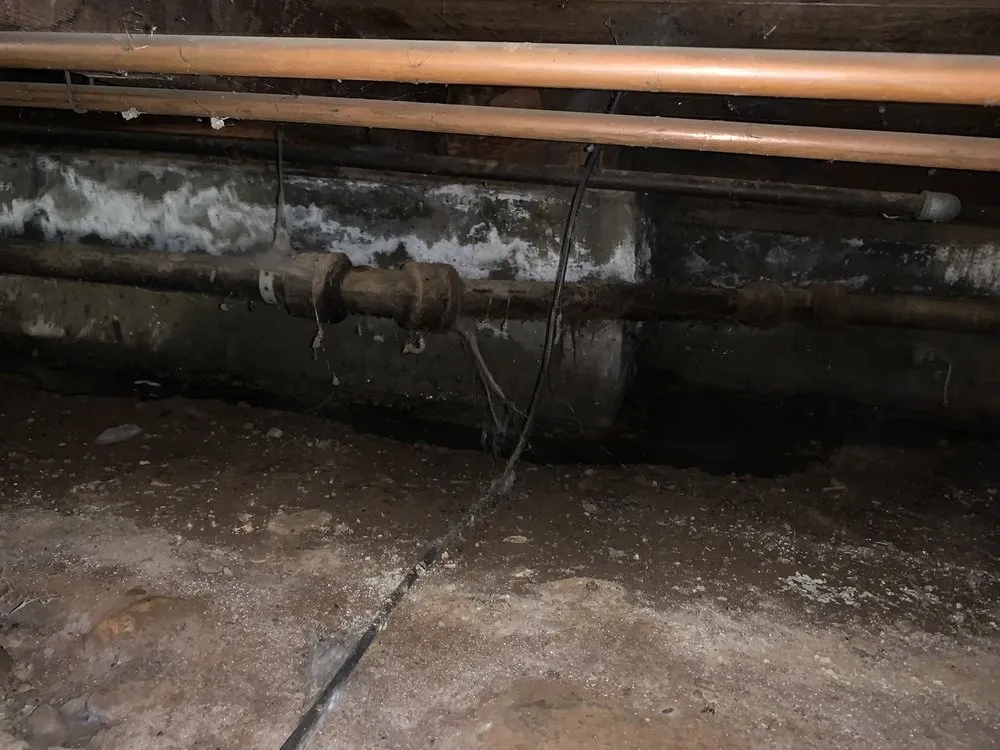 Professional plumbing repair service in Citrus Heights, CA - Veterans Plumbing