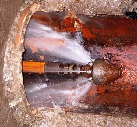 Slide of Vets For You