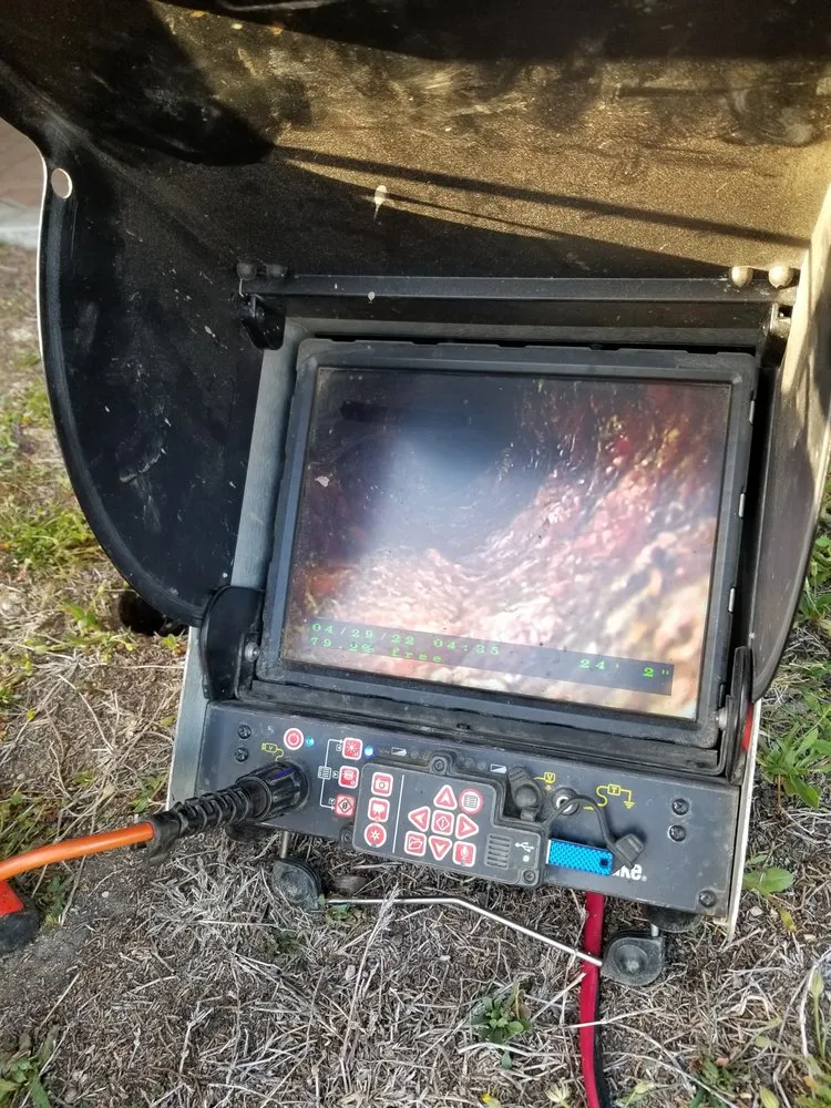 Slide of Vets For You