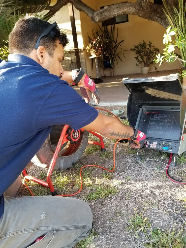 Slide of Vets For You