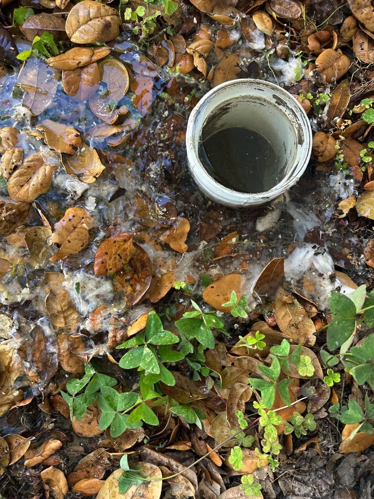 Slide of Victor Plumbing