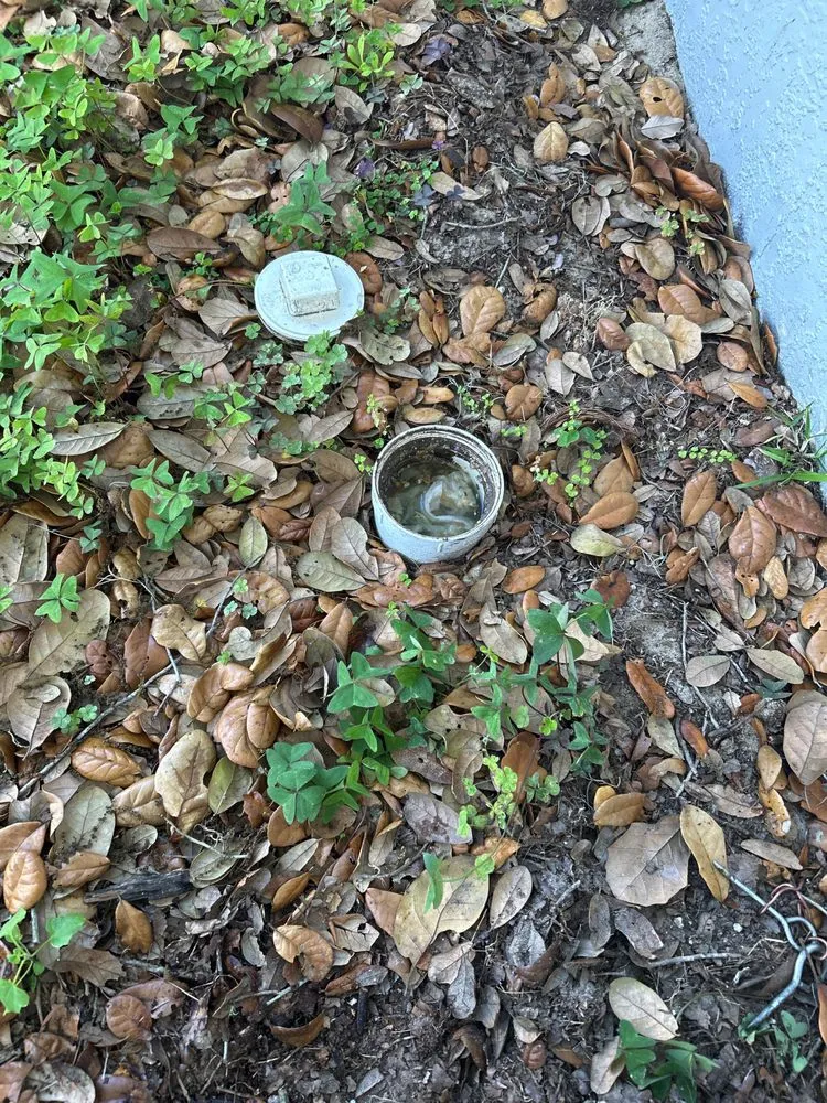 Slide of Victor Plumbing