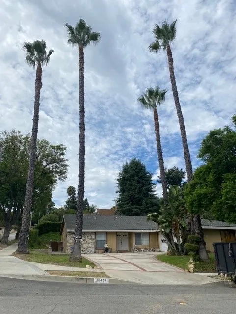 Slide of Victor's Plumbing and Tree Services