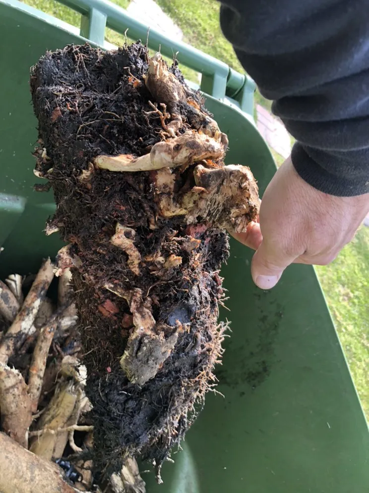 Top-rated leak detection service in Beverly Hills, CA - Victor's Rooter & Plumbing