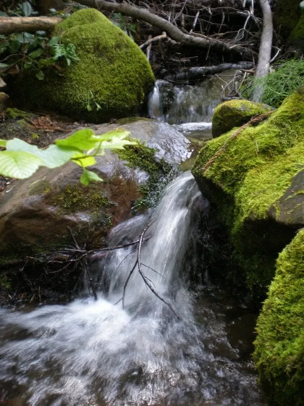 Slide of Victory International Plumbling