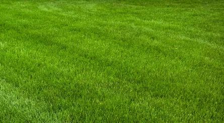 Slide of Victory Land Development and Excavation