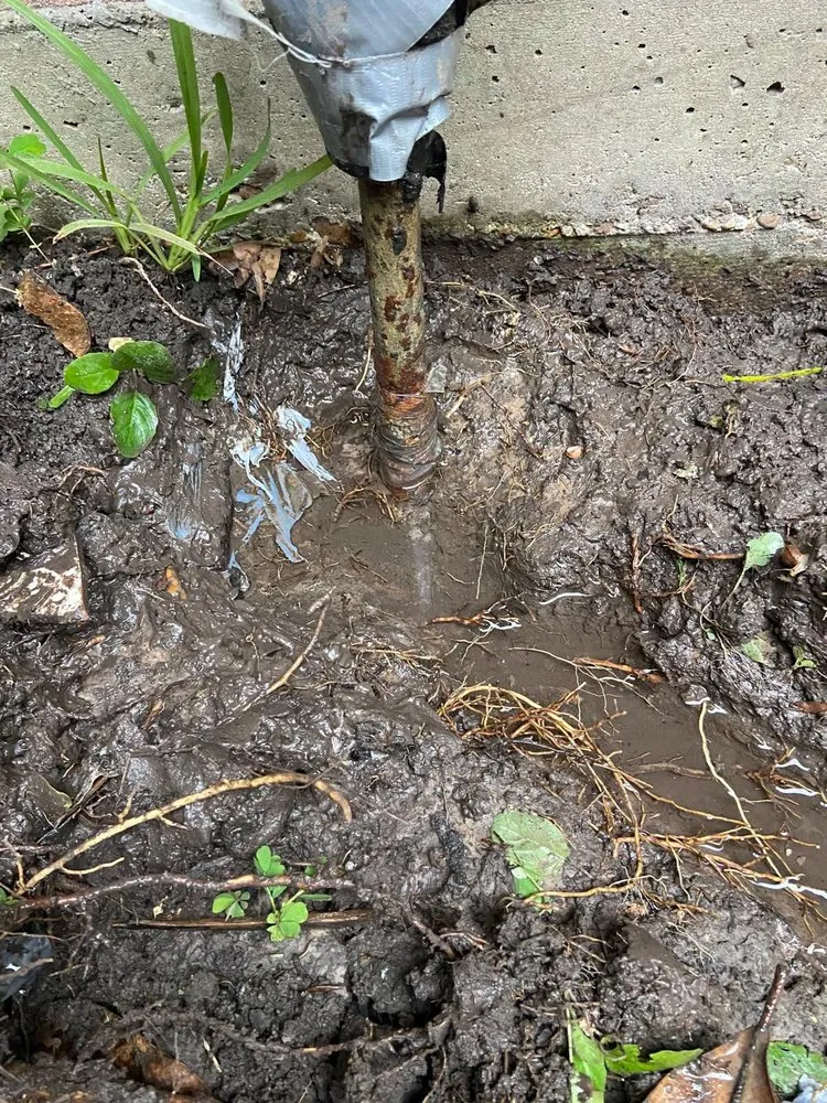 Slide of Vidals Imperial Foundation