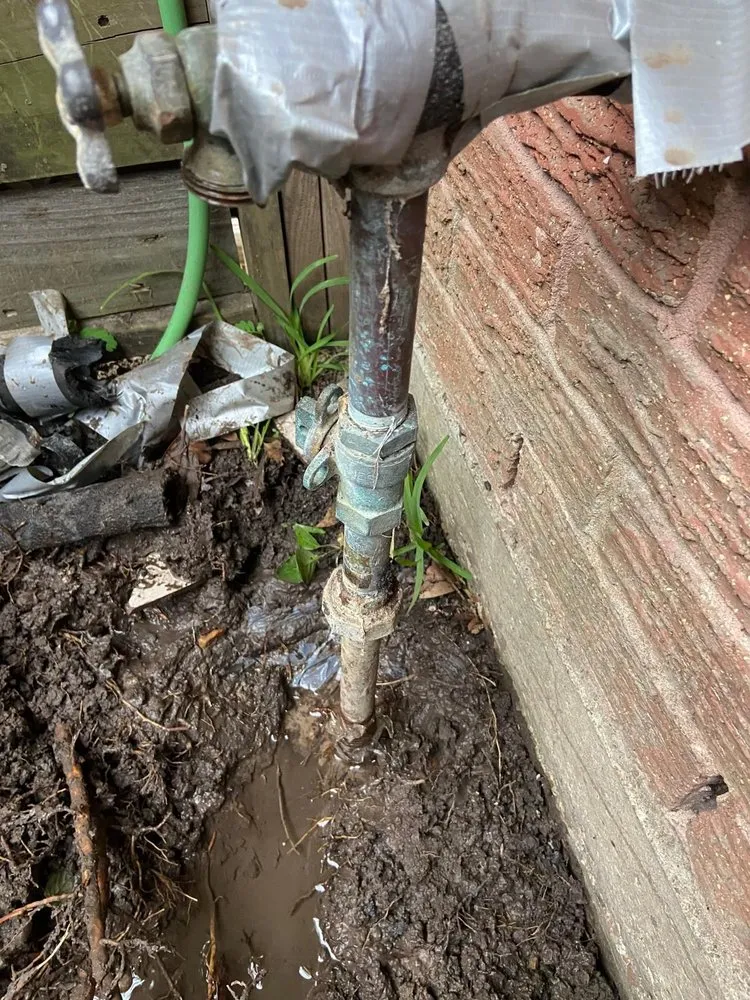 Slide of Vidals Imperial Foundation