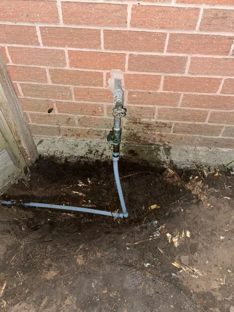 Slide of Vidals Imperial Foundation