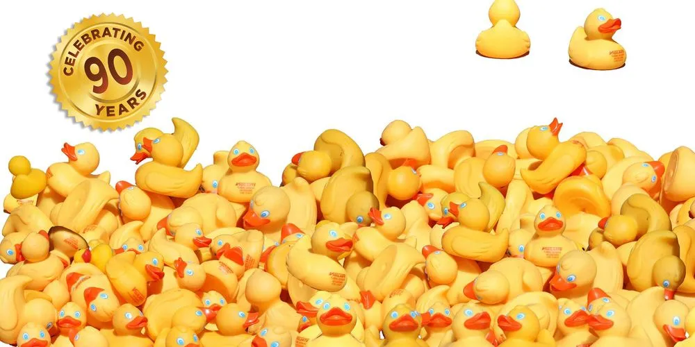 Slide of Vigilante Plumbing