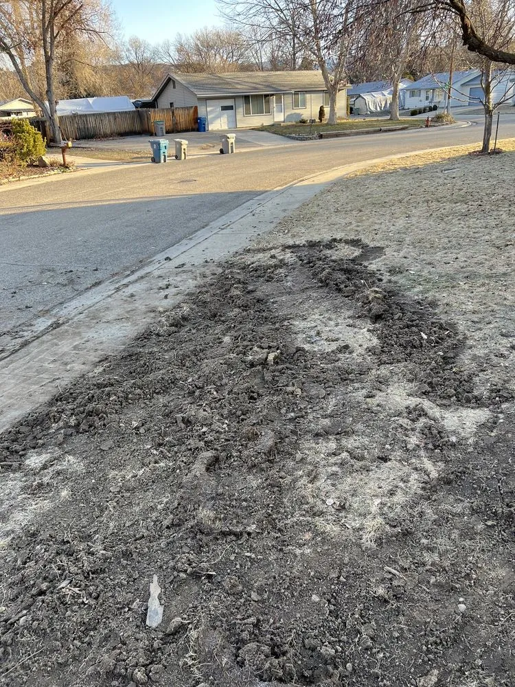 Slide of Viking Plumbing