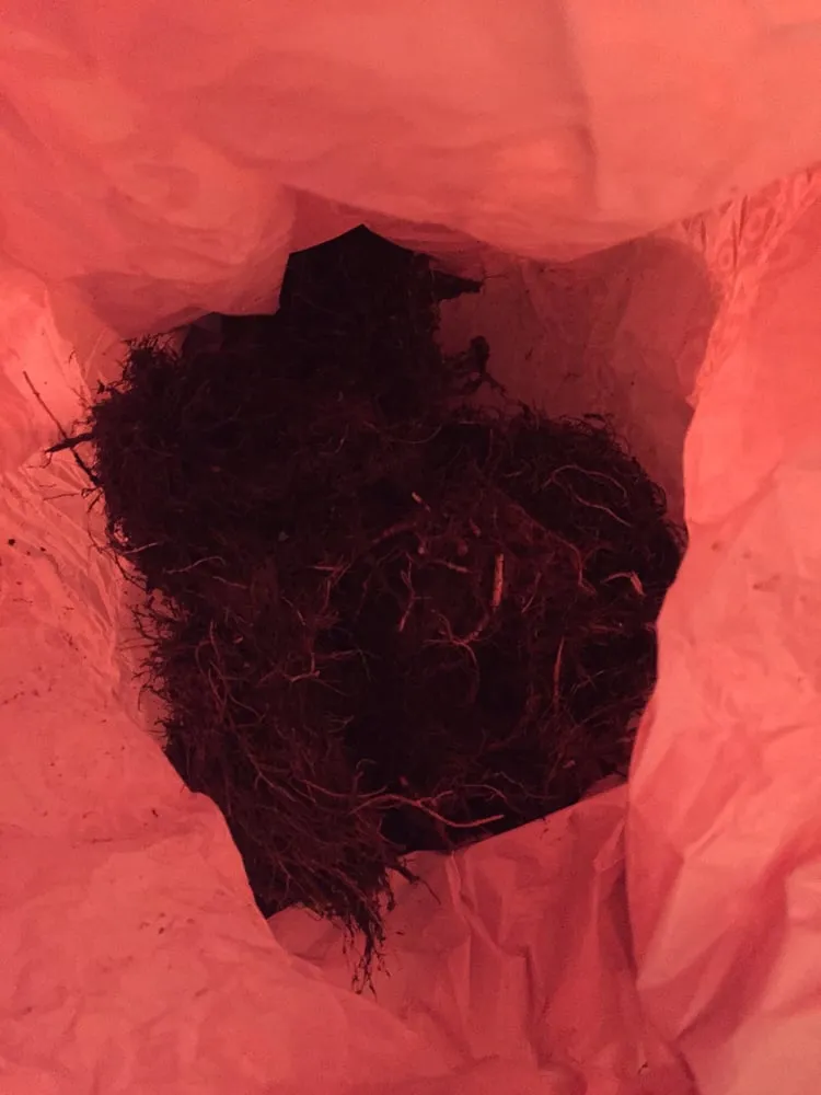 Slide of Viking Plumbing