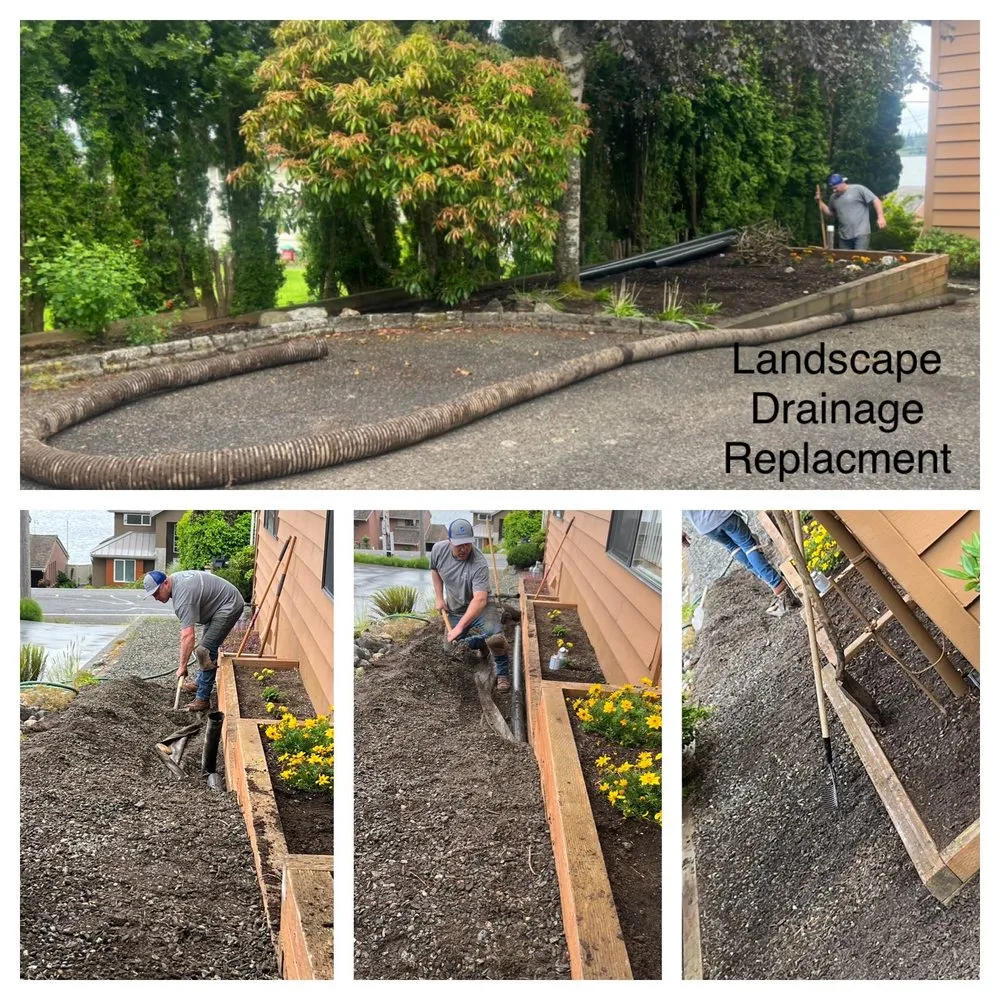 Slide of Vincelli Plumbing