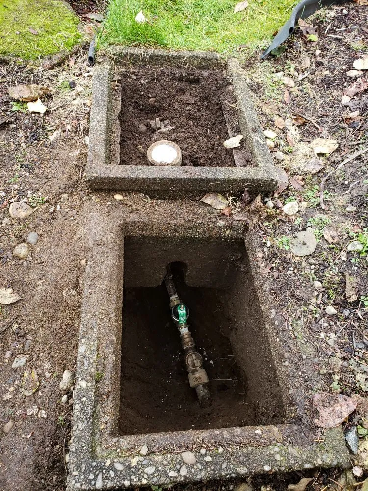 Slide of Vinny Boy's Plumbing