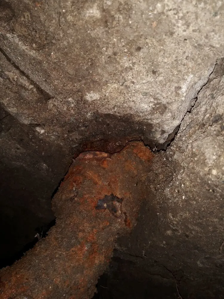 Slide of VIP Plumbing & Drain Specialist