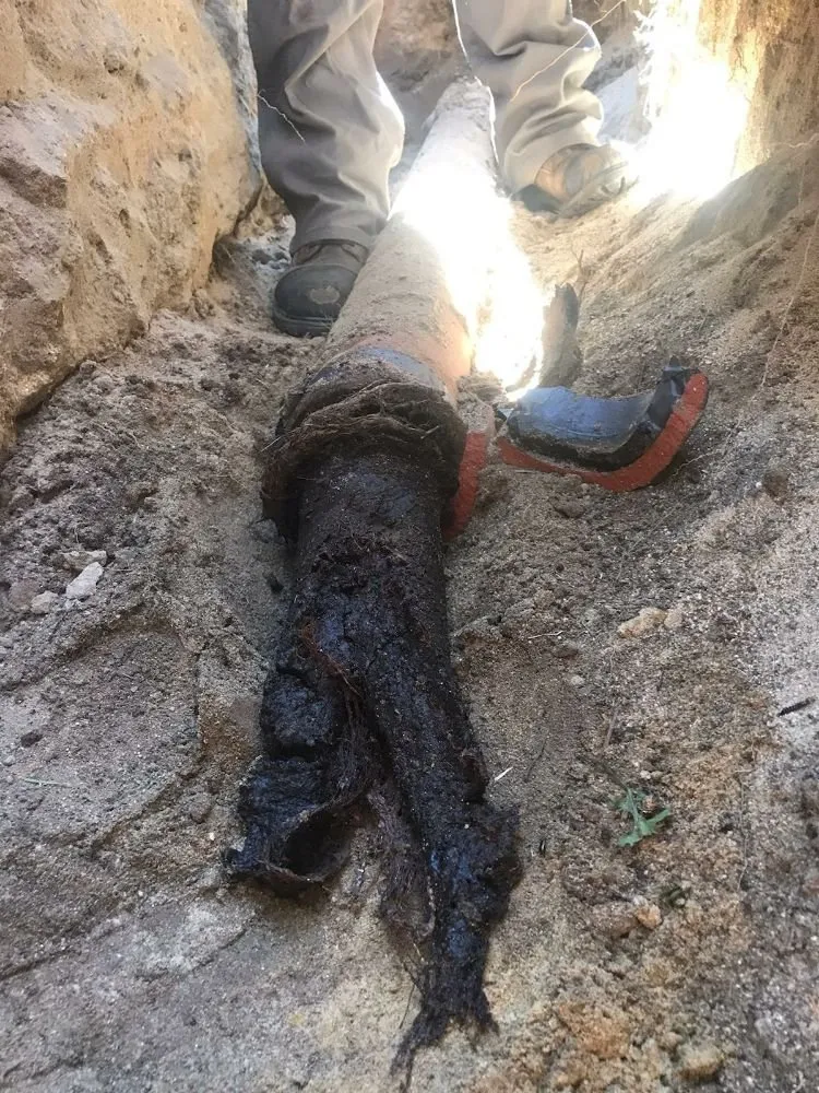 Expert drain cleaning experts serving Santa Ana, CA - VIP Plumbing & Drain Specialist