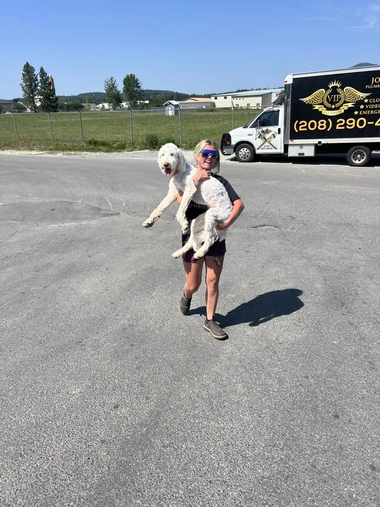 Slide of VIP plumbing