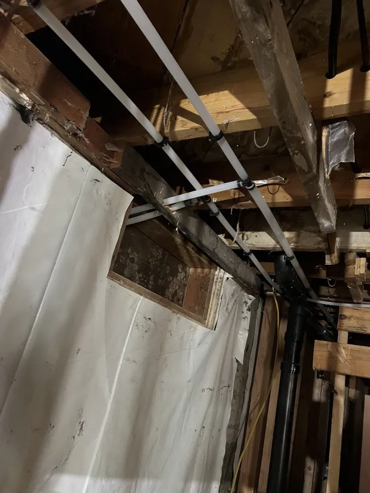 Slide of VIP plumbing