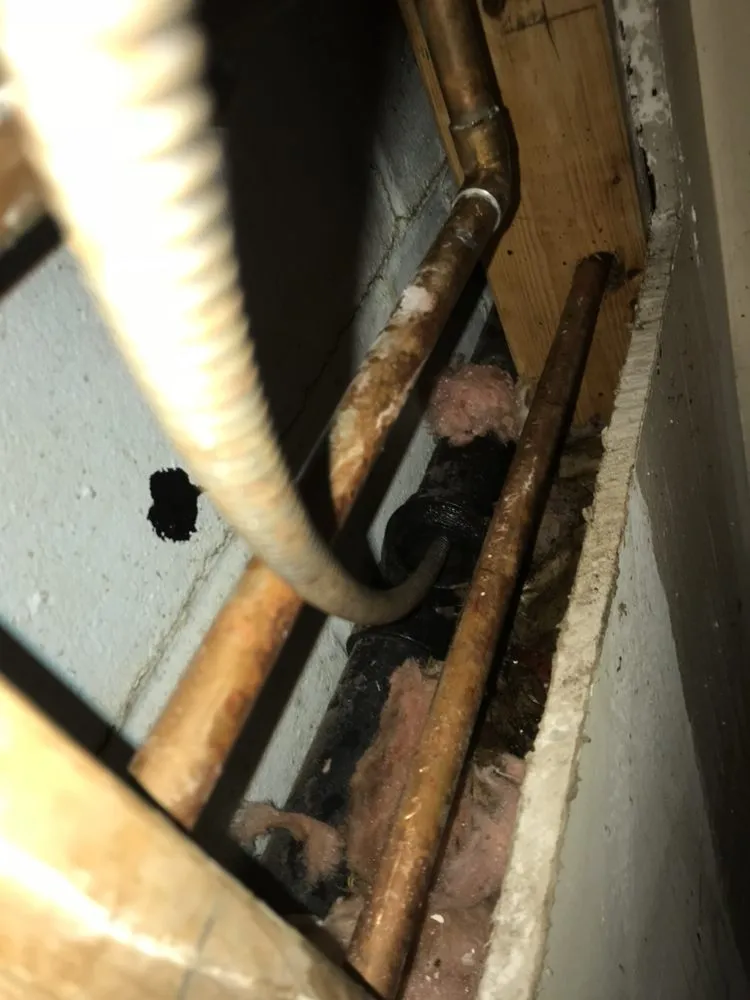 Slide of Viper Drain Cleaning - Plumber Council Bluffs, IA