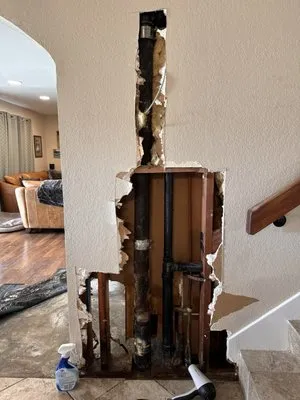 Viper Rooter and Plumbing Logo