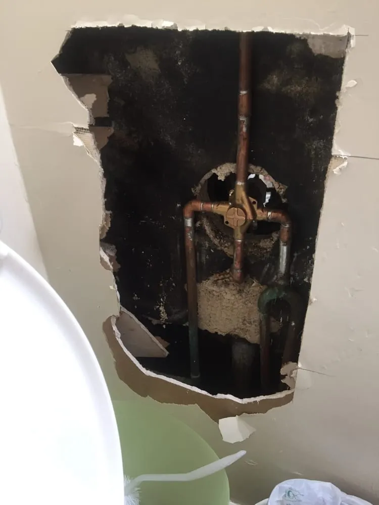 Slide of Vista Plumbing