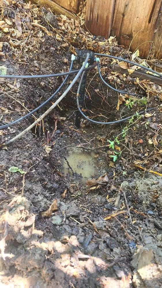 Affordable emergency plumbing service in Concord, CA - Vit Leak Detection & Plumbing