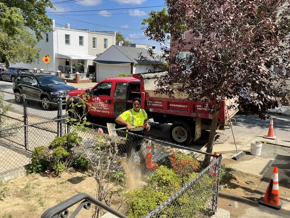 Slide of Vitello Plumbing