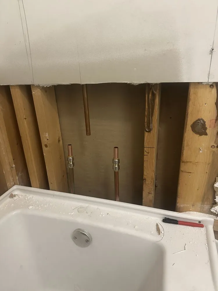 Slide of Vivid Remodeling