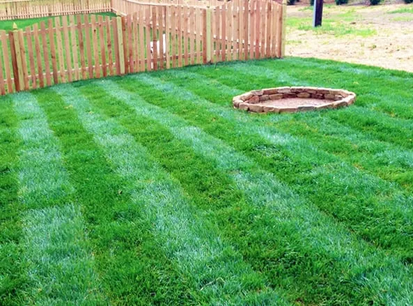 Slide of Vivid Service Group, LLC - McDonough