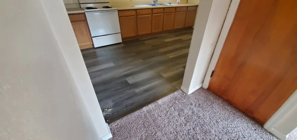 Slide of Voyager Handyman