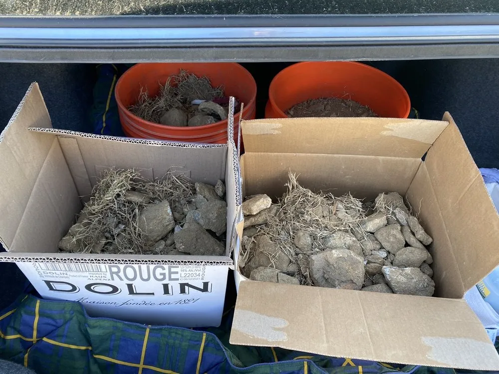 Slide of W A Gambrill