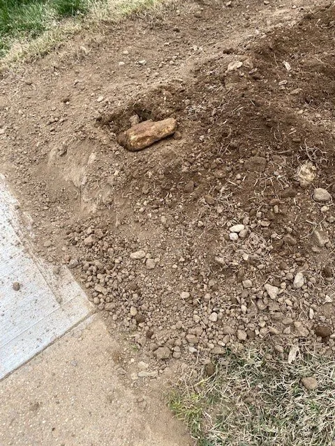 Slide of W A Gambrill