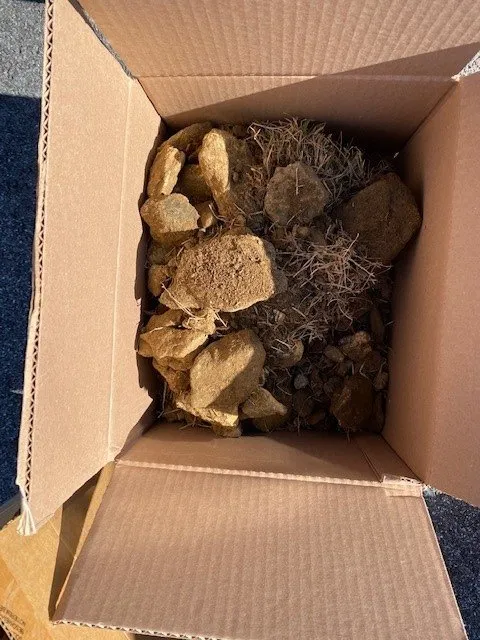 Slide of W A Gambrill