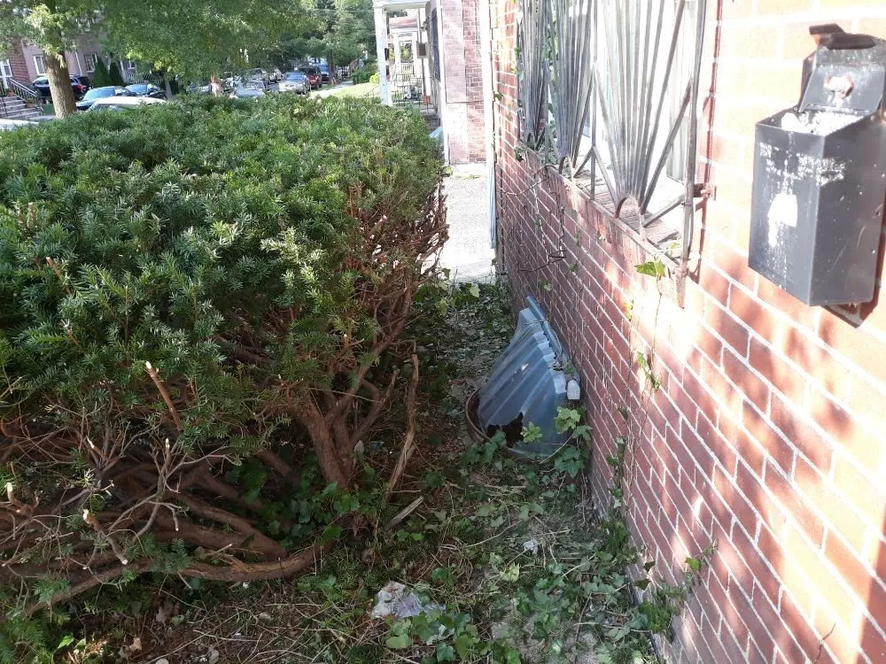 Slide of W And B Notary And Handyman Services