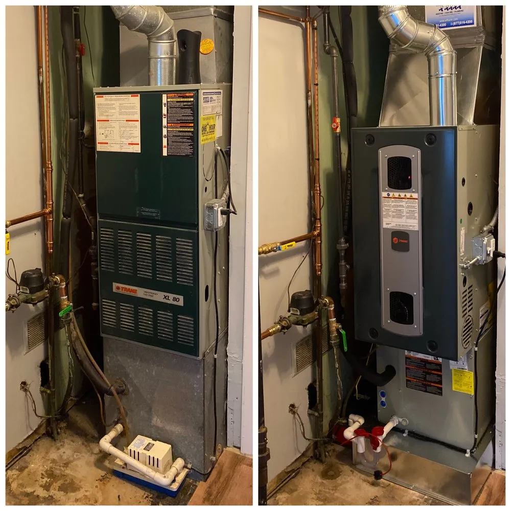 Slide of W F Hann & Sons