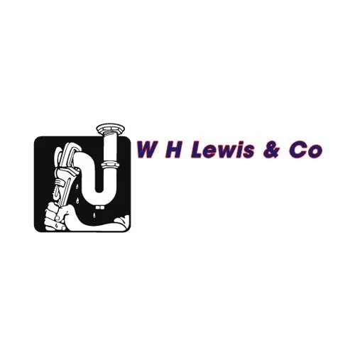 Slide of W H Lewis