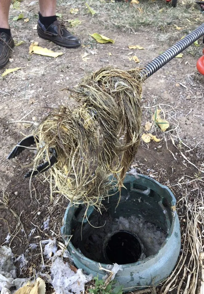 Slide of Wagner and Sons Plumbing