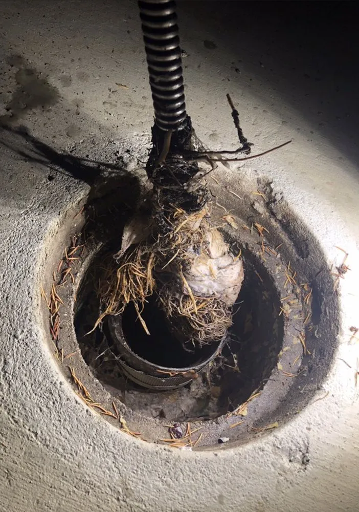 Top-rated water heater service experts serving Chicago, IL - Wagner and Sons Plumbing