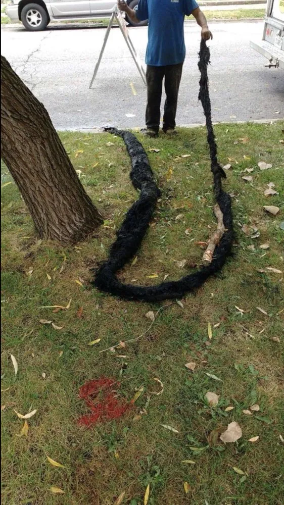 Affordable leak detection experts serving Chicago, IL - Wagner and Sons Plumbing