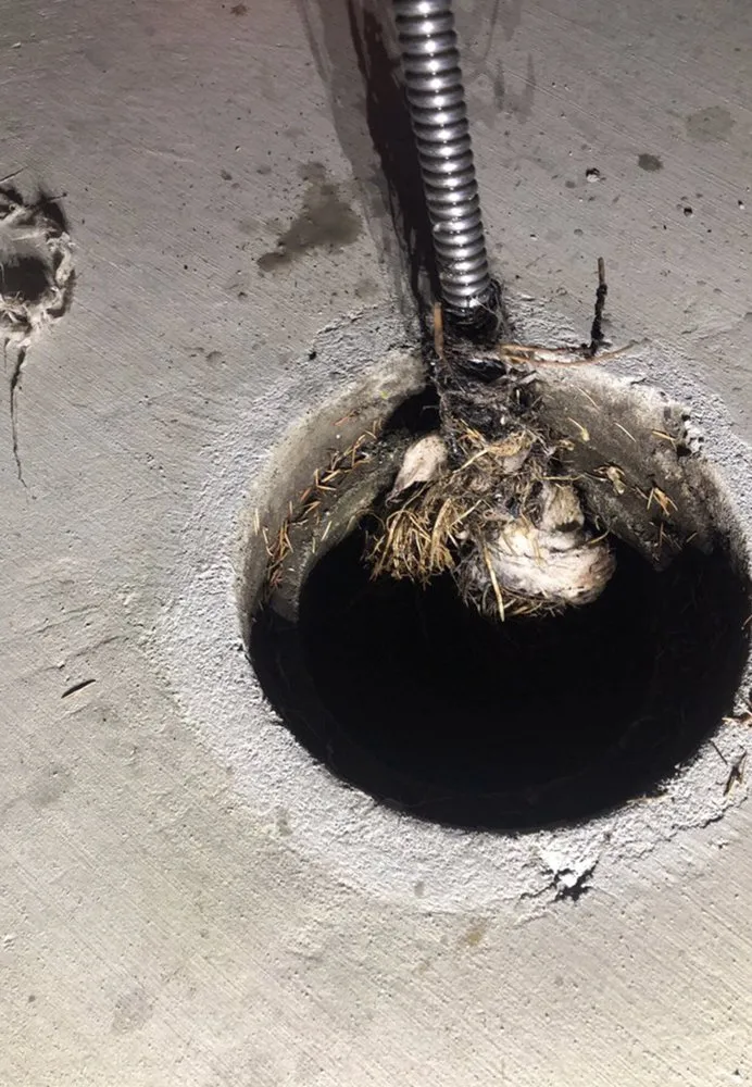 Affordable drain cleaning experts serving Chicago, IL - Wagner and Sons Plumbing