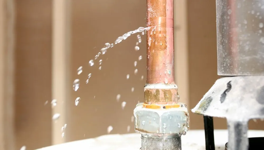 Slide of Wahooo Plumbers