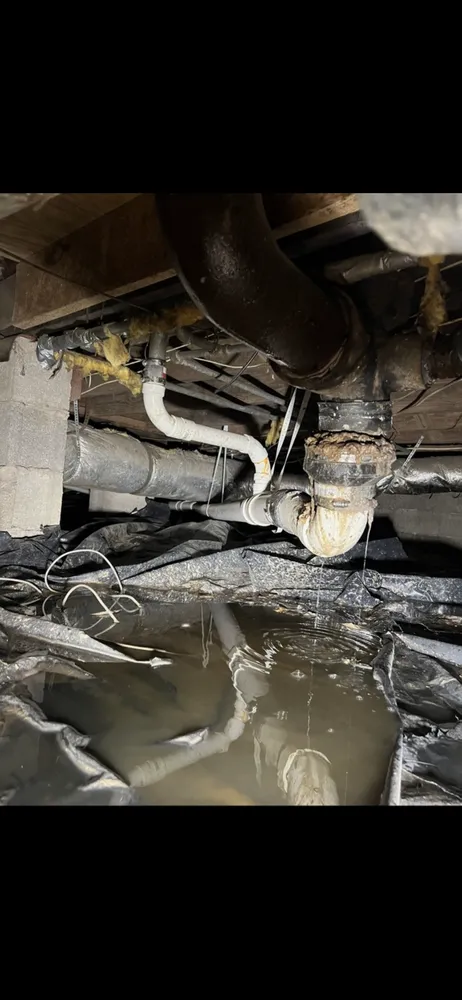 Slide of Wal Company