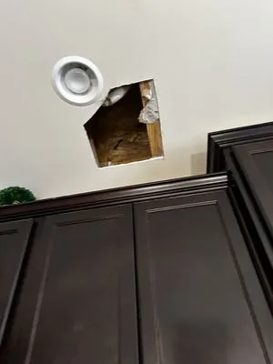 Waldorf Plumbing Logo