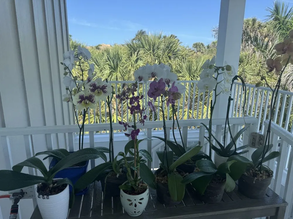 Slide of Walker Plumbing