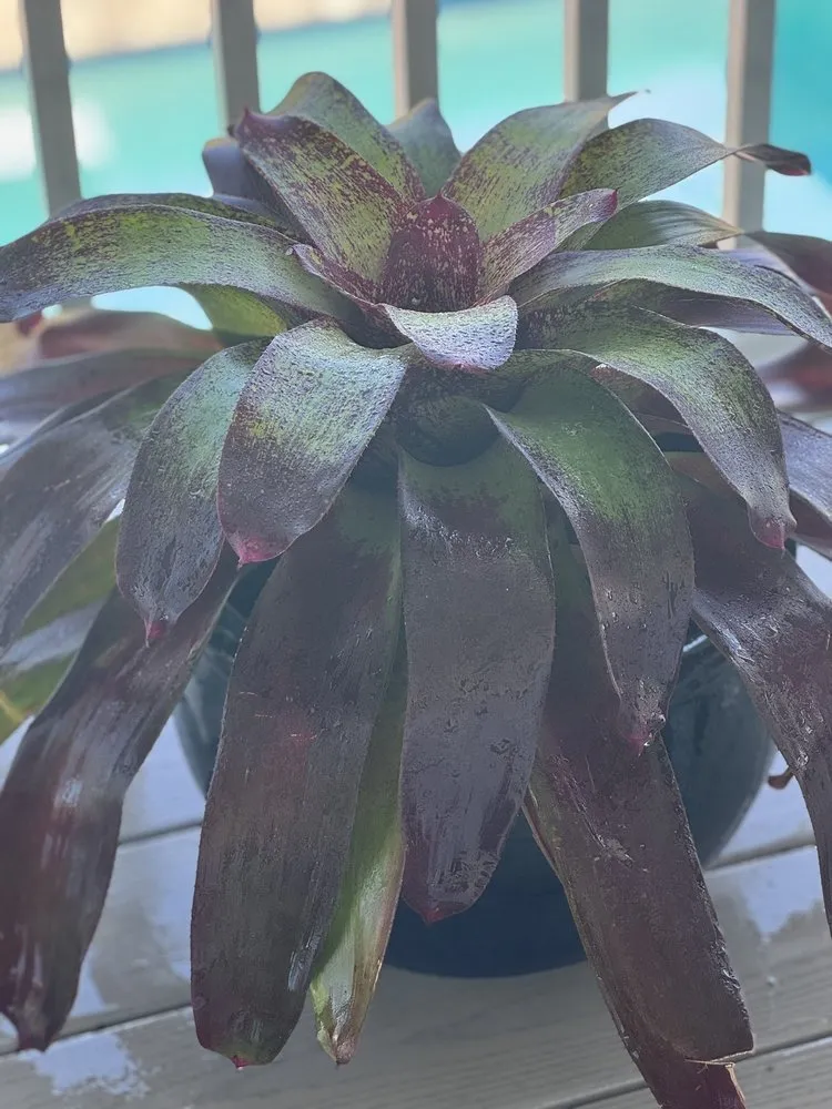 Slide of Walker Plumbing