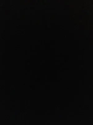 Walt Bierman Plumbing